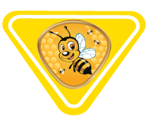 btn-esp-av-nvo-curriculo-grupo-abejas2.png