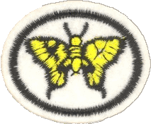 Mariposas